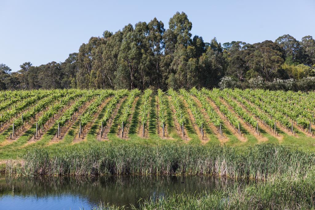 Seville Estate Eksteriør bilde