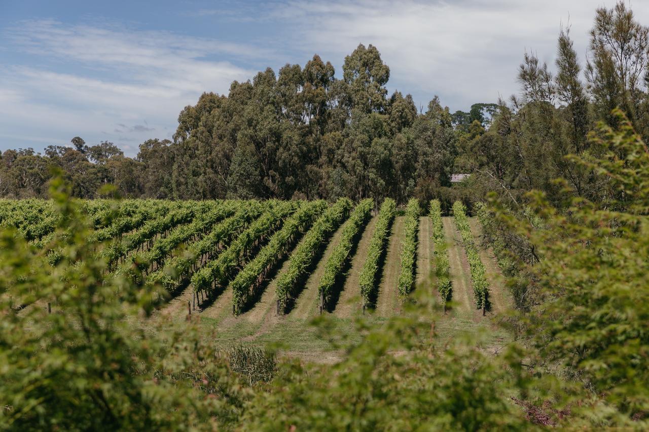 Seville Estate Eksteriør bilde